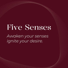 Five Senses | Part 1